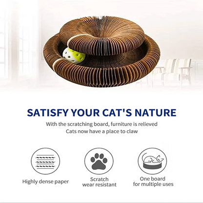 Corrugated Cat Scratch Toy